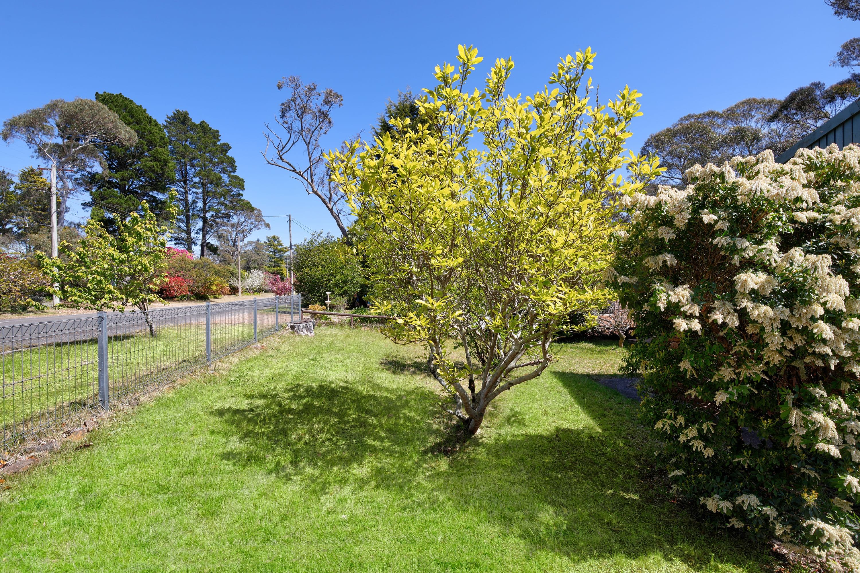 50 Evans Lookout Road, Blackheath NSW 2785, Blackheath - Thumbnail 8