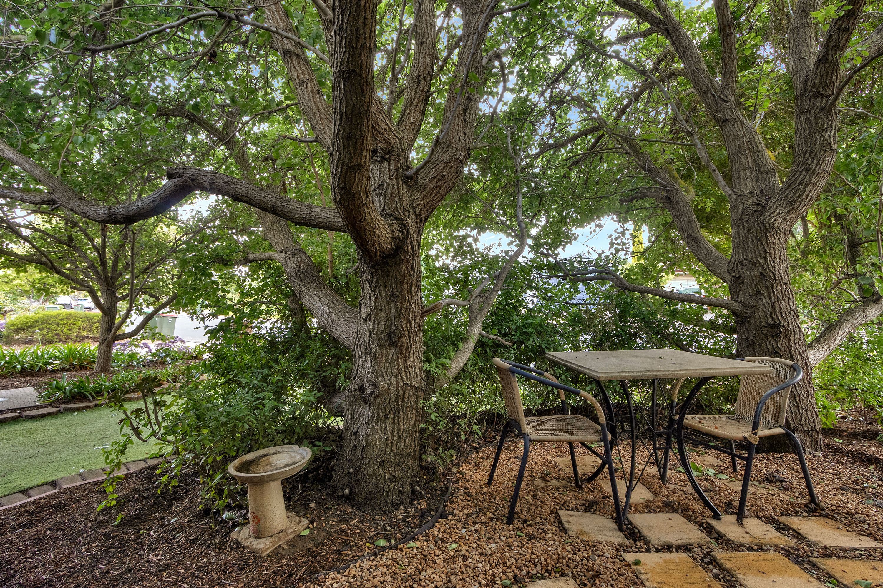3 Chardonnay Drive, Nuriootpa SA 5355, Nuriootpa - Thumbnail 4