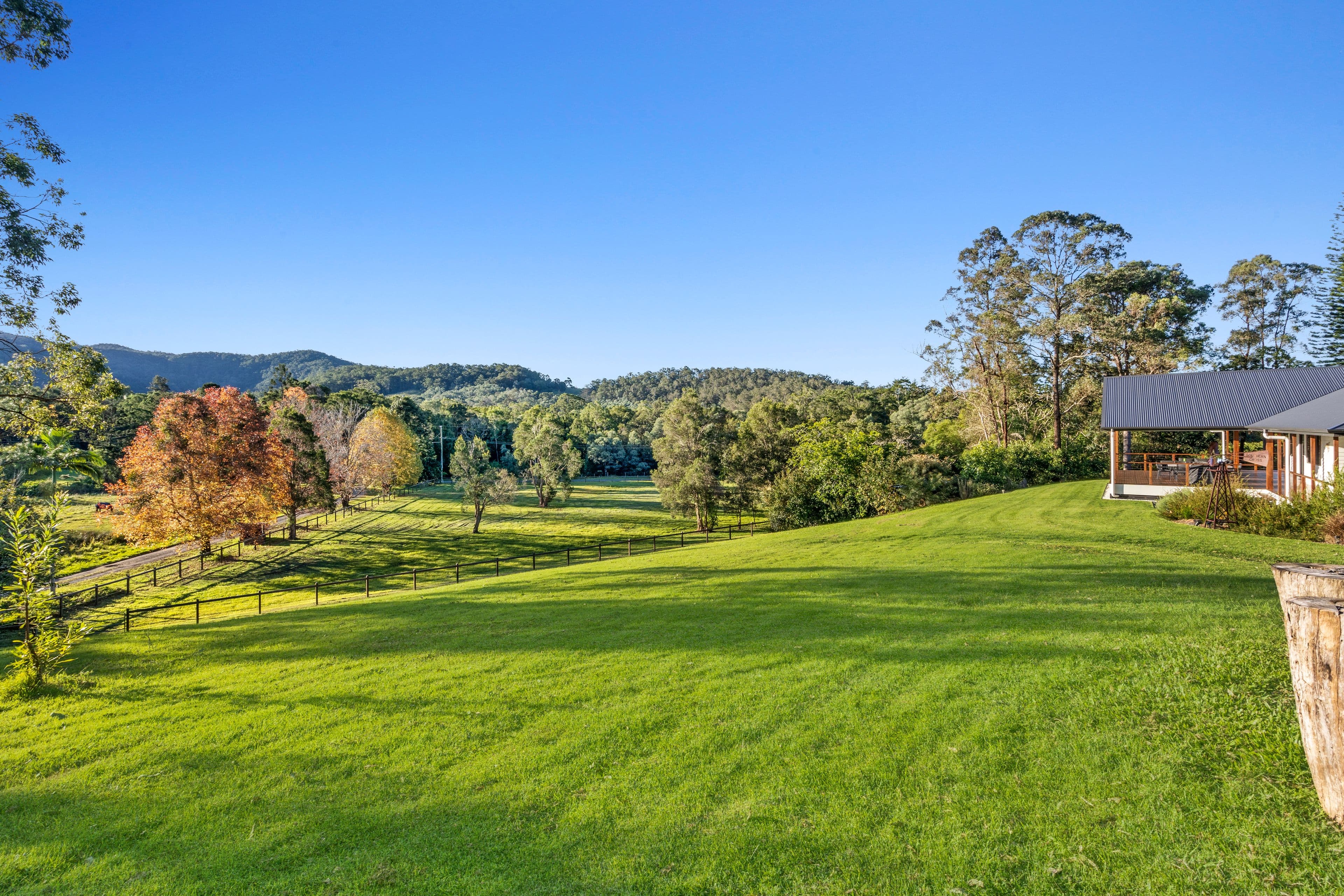 491 Guanaba Creek Road, Guanaba QLD 4210, Guanaba - Image 1
