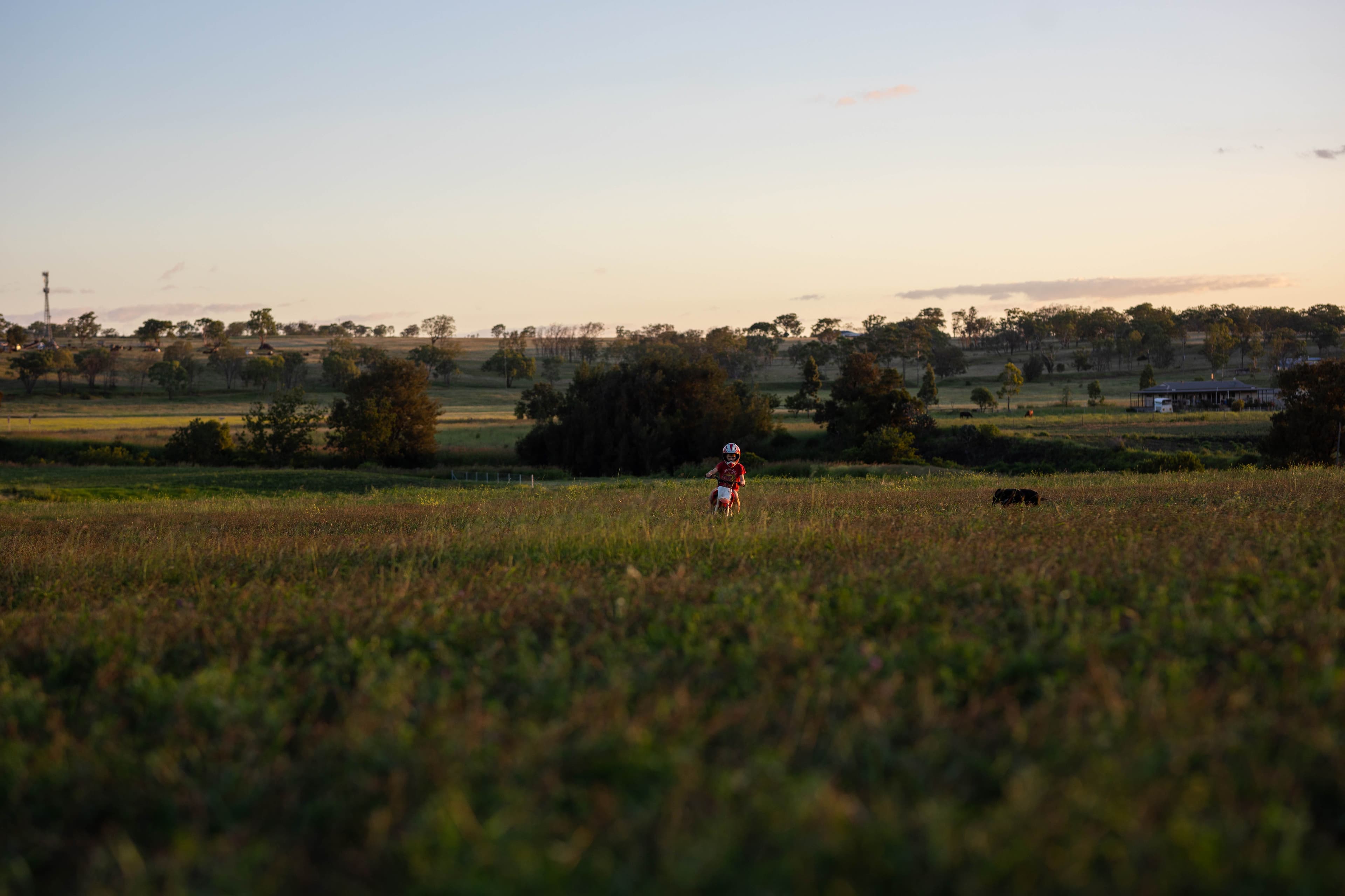 Lot 434 Gowrie-Lilyvale Road, Gowrie Junction QLD 4352, Gowrie Junction - Thumbnail 4