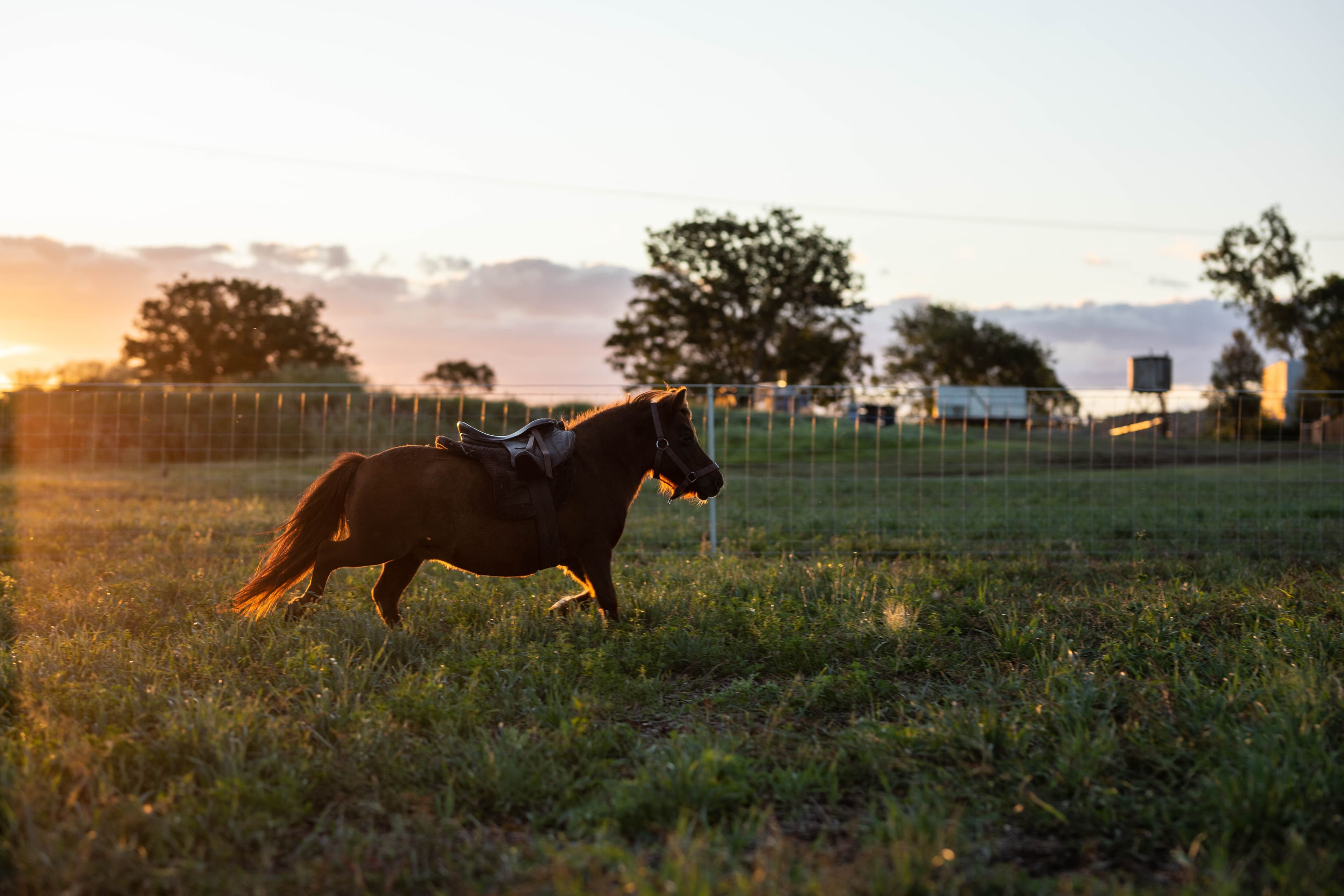 Lot 434 Gowrie-Lilyvale Road, Gowrie Junction QLD 4352, Gowrie Junction - Thumbnail 6