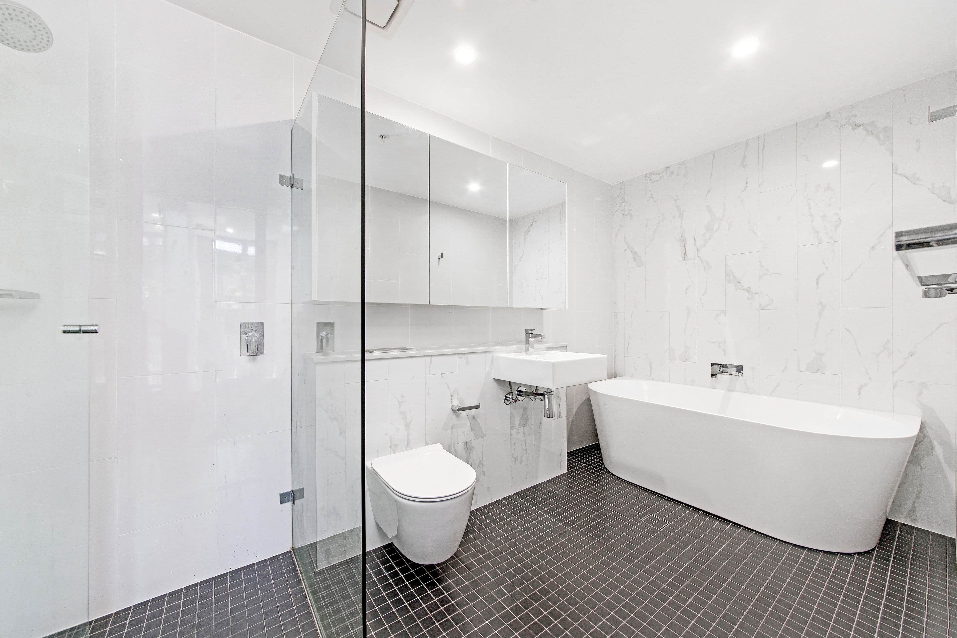 3 Carter Street, Lidcombe NSW 2141, Lidcombe - Thumbnail 6