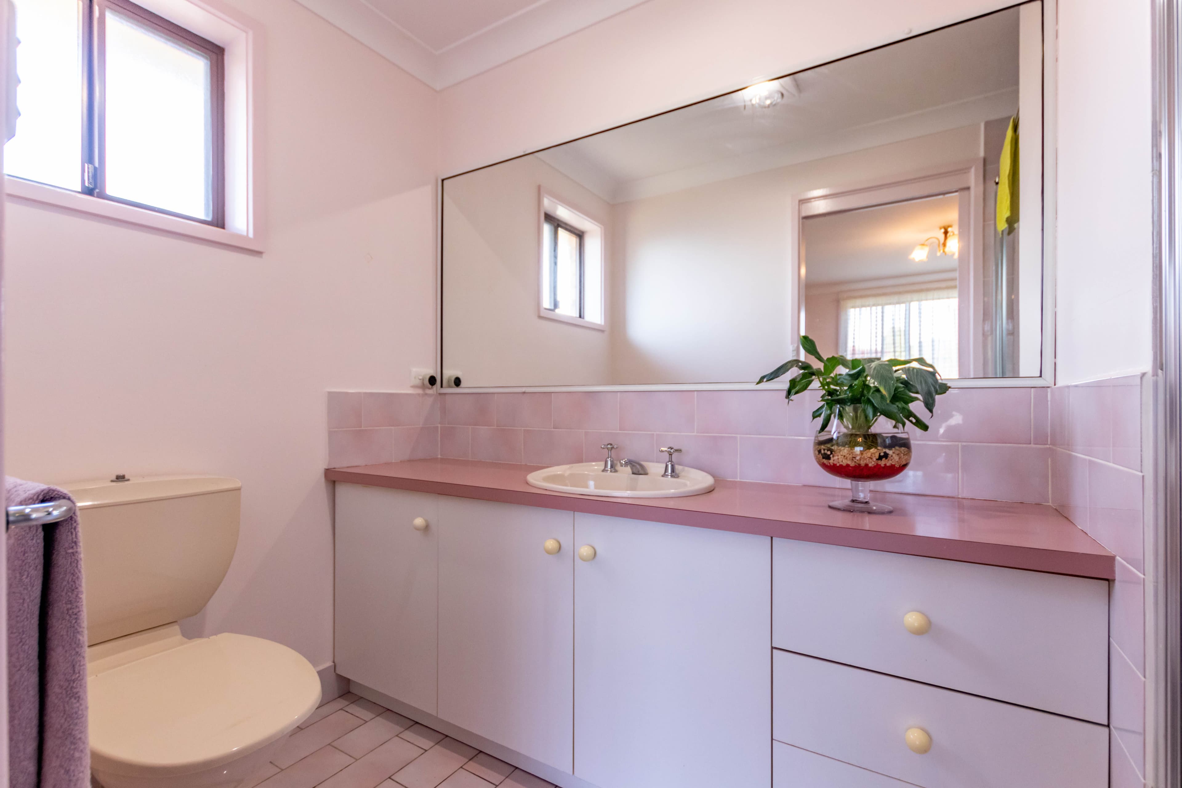 5 Smiles Street, Tumut NSW 2720, Tumut - Thumbnail 8