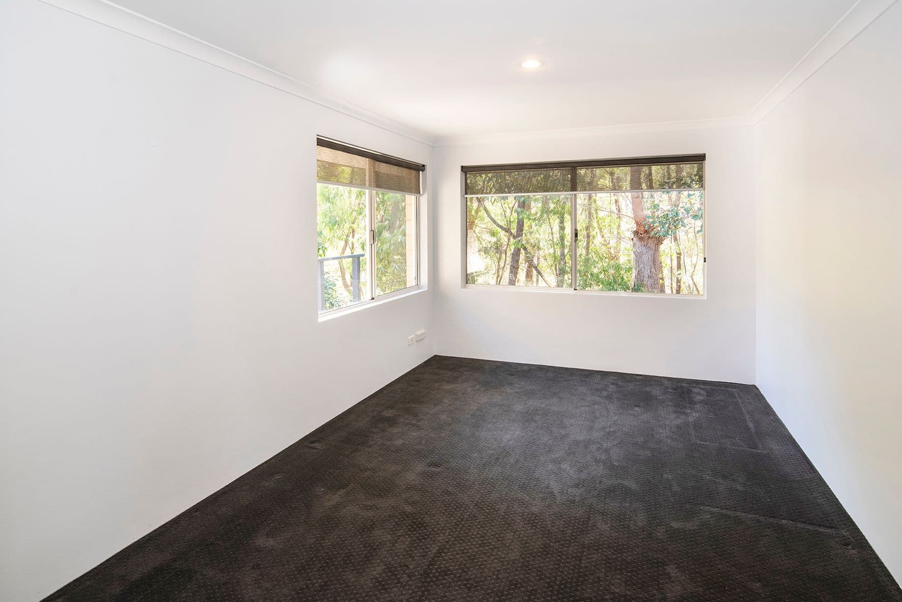 8 Honeysuckle Glen, Cowaramup WA 6284, Cowaramup - Thumbnail 6