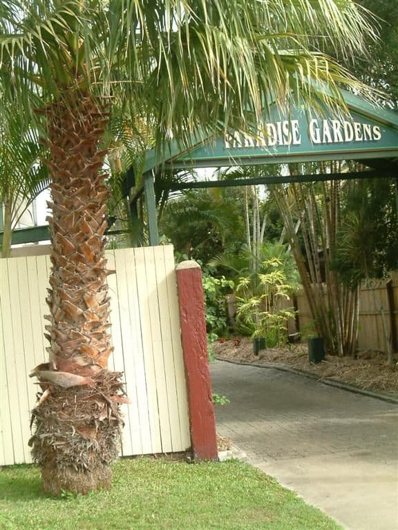 15 Tavistock Street, TORQUAY QLD 4655, Torquay - Thumbnail 2