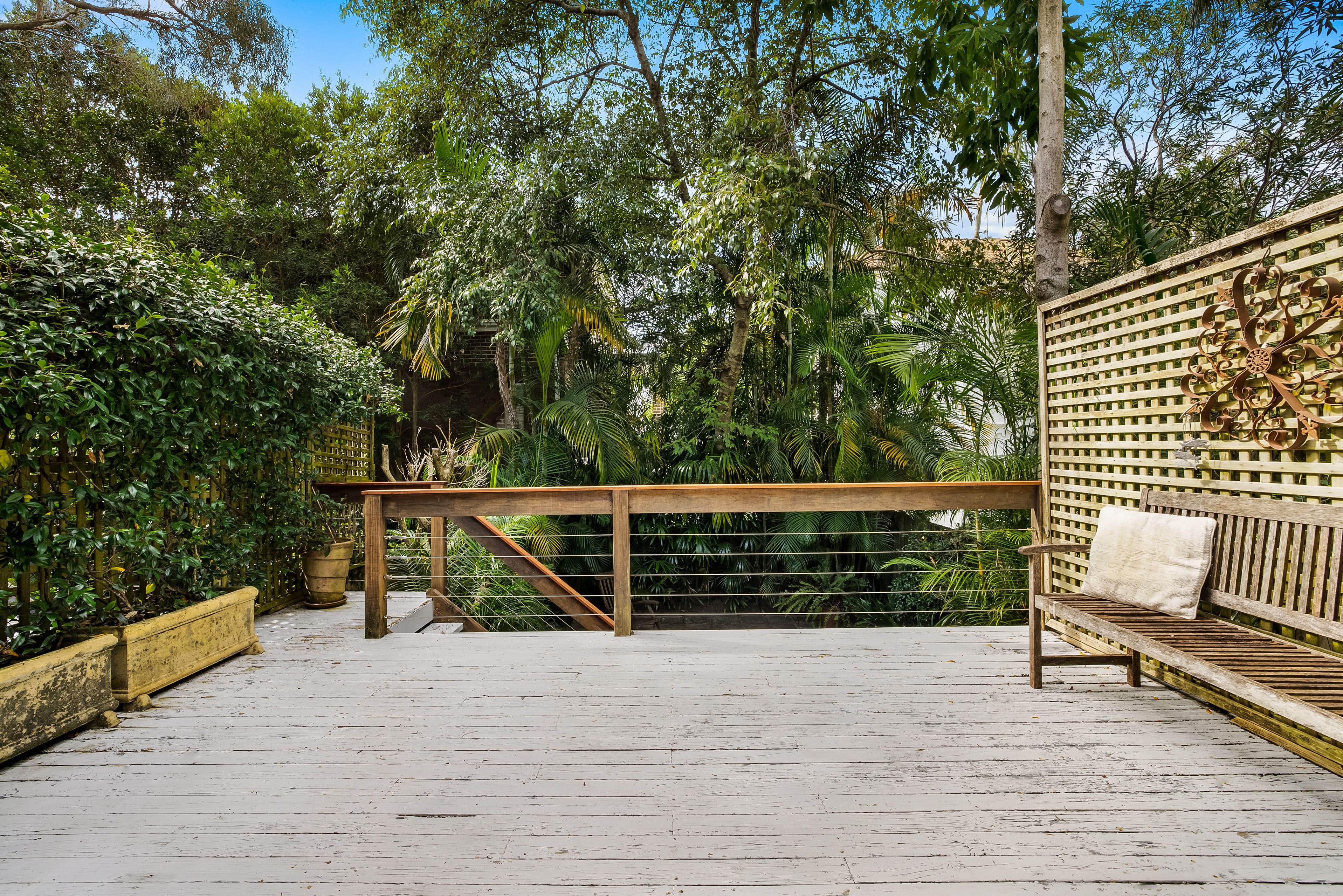 87 Mount Street, Coogee NSW 2034, Coogee - Thumbnail 7