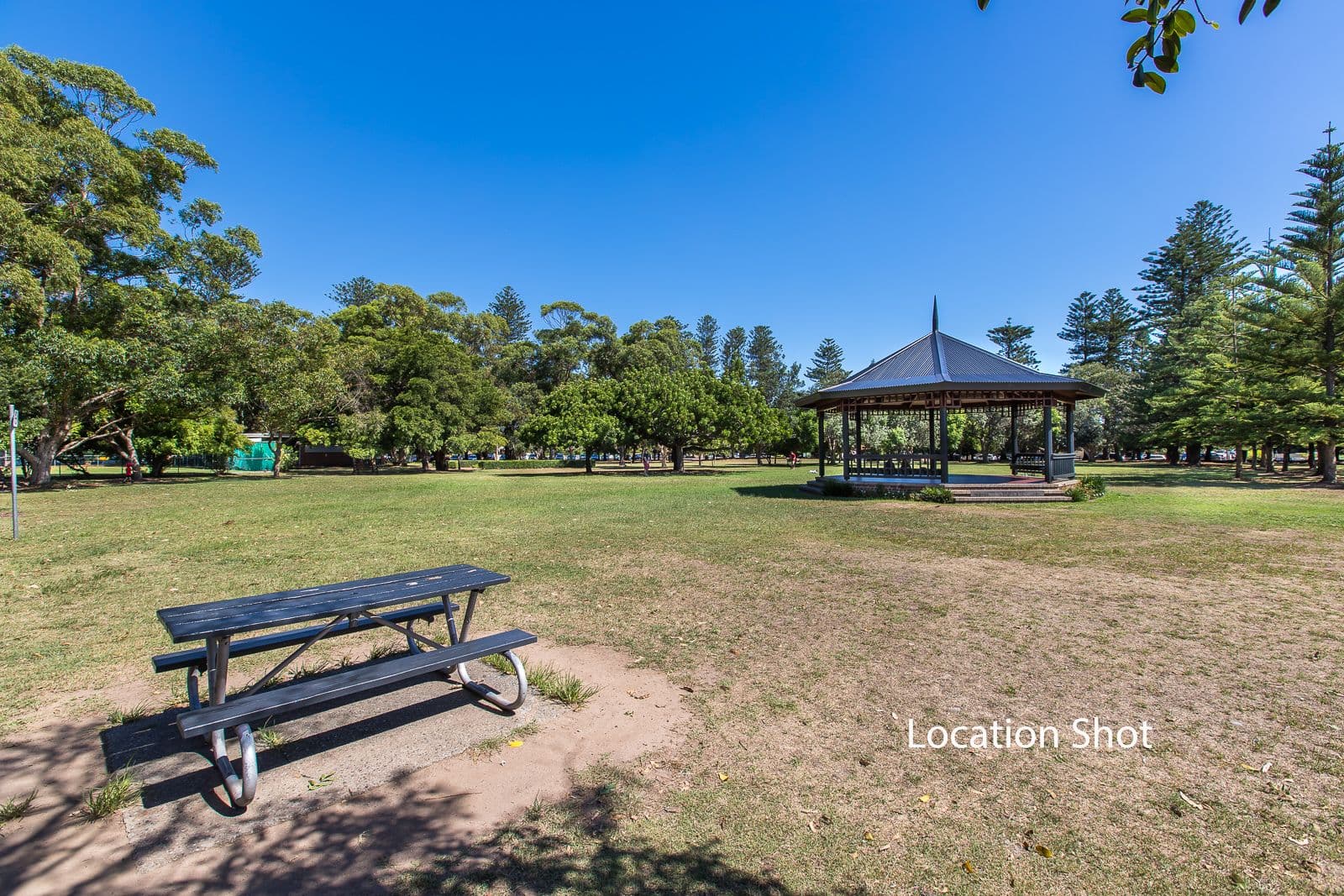 60 Parry Street, Cooks Hill - Thumbnail 8