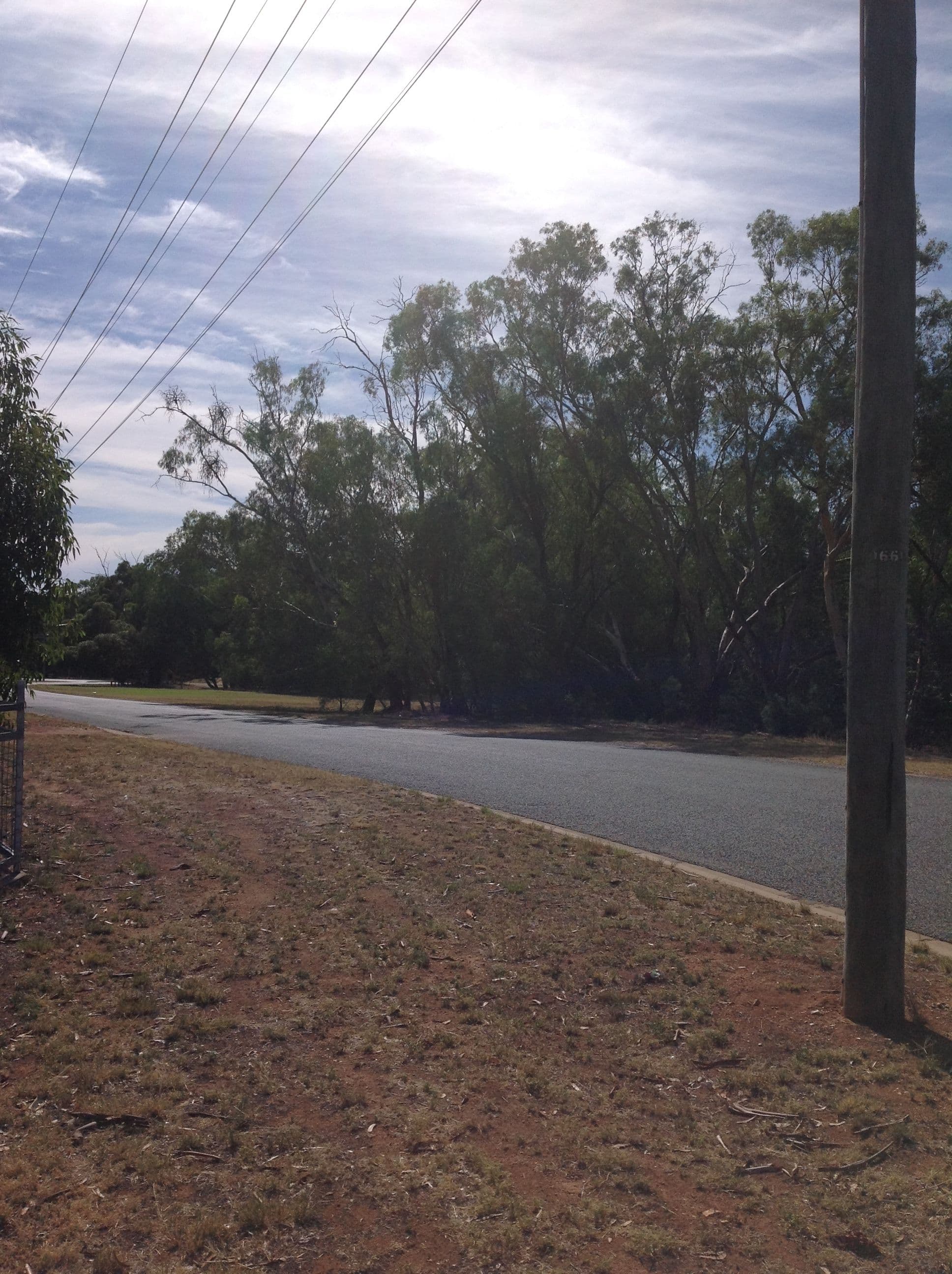 1 Stenhouse Street, Condobolin NSW 2877, Condobolin - Thumbnail 4