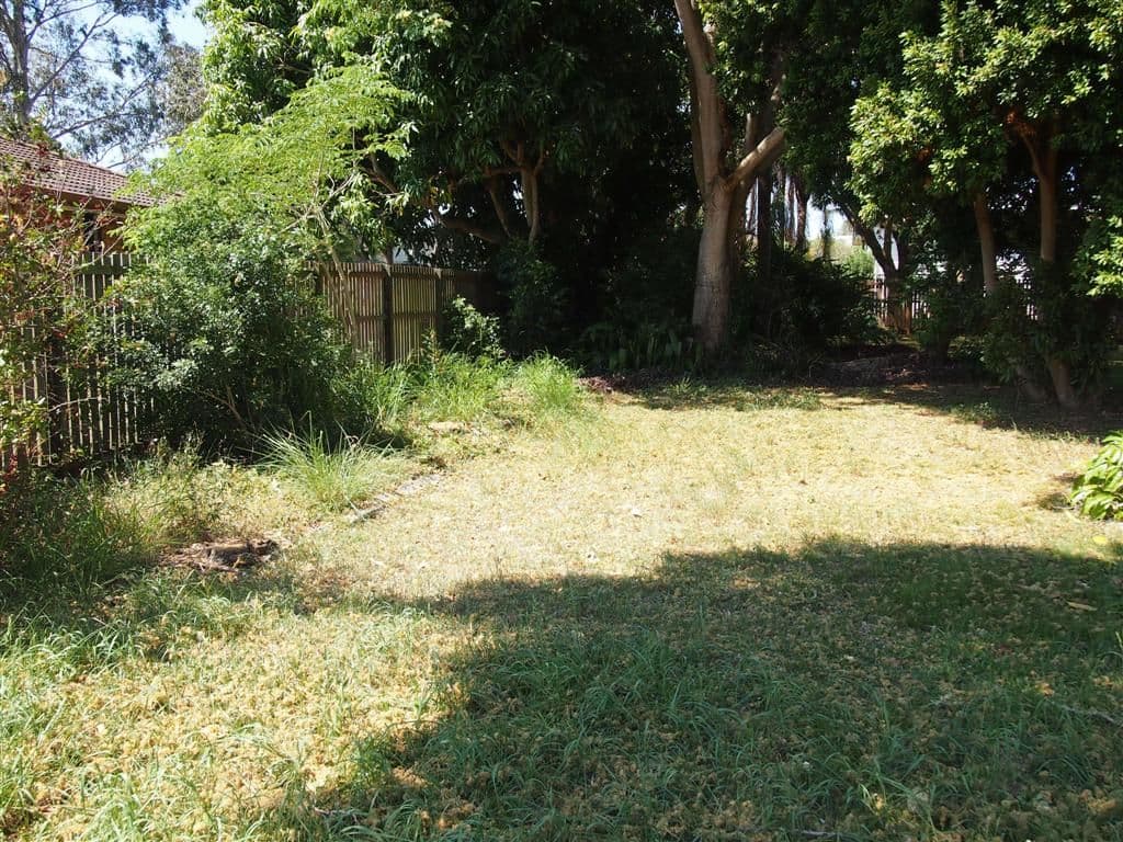 51 Polson Street, POINT VERNON QLD 4655, Point Vernon - Thumbnail 4