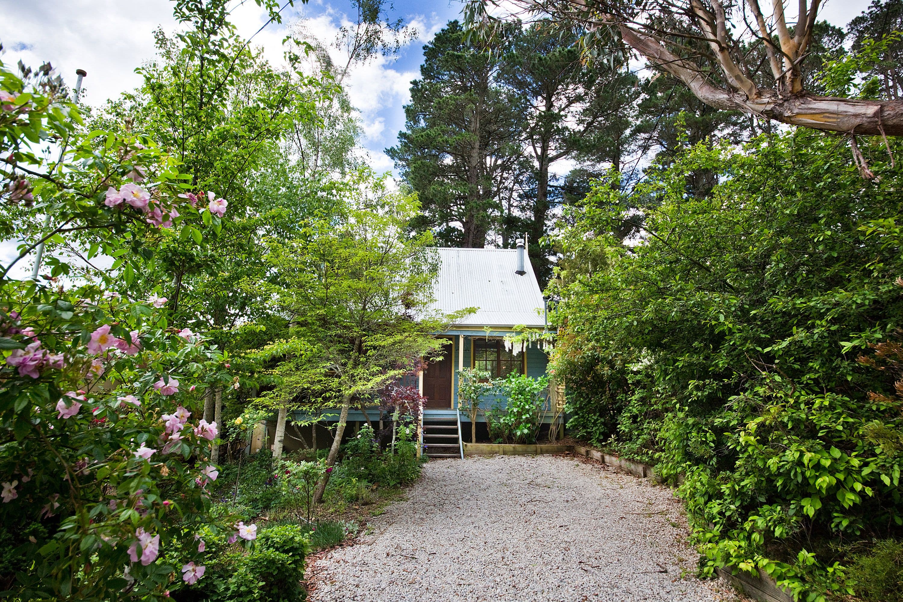 61 Thirroul Avenue, Blackheath - Thumbnail 2