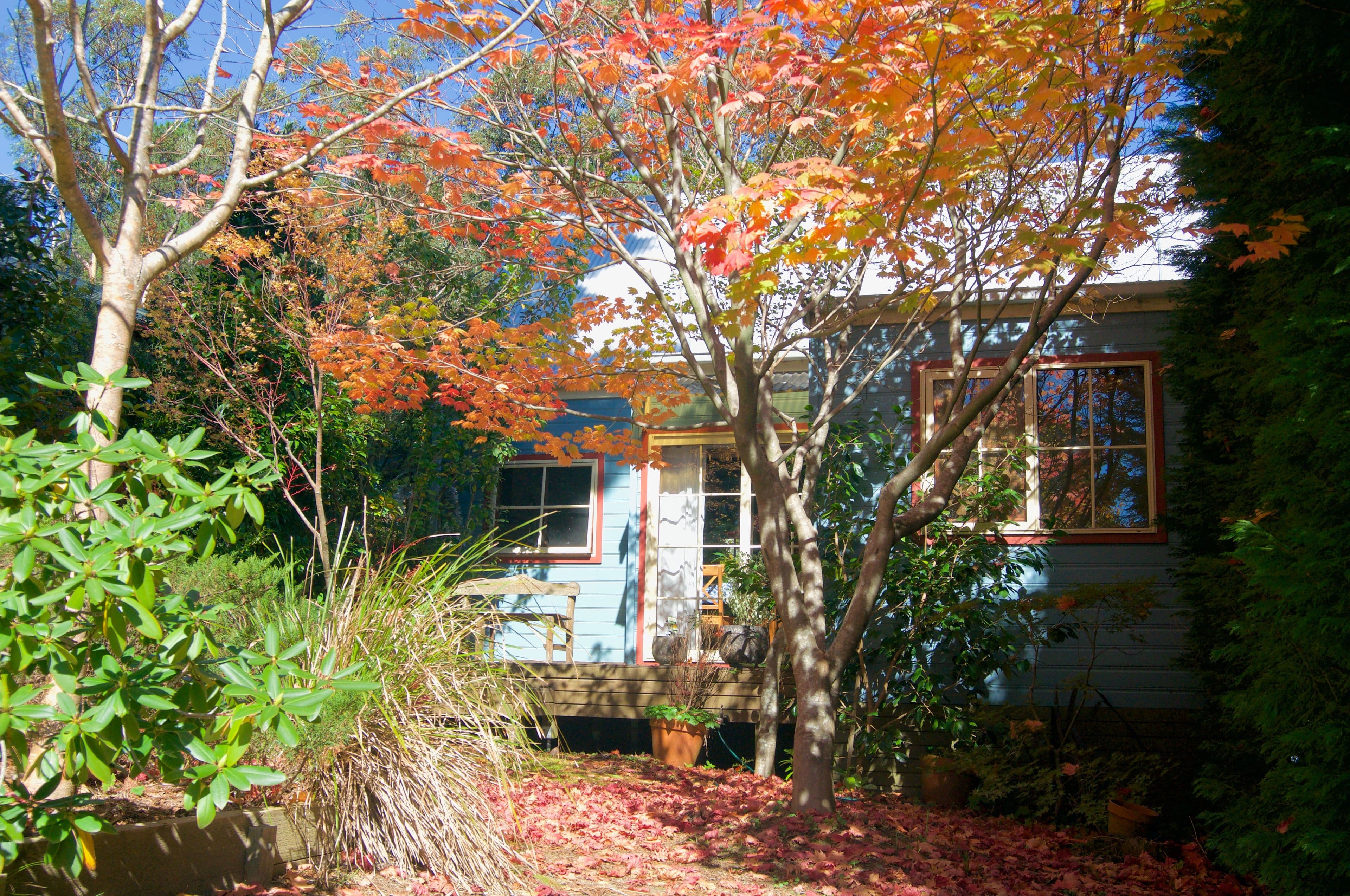 61 Thirroul Avenue, Blackheath - Thumbnail 8