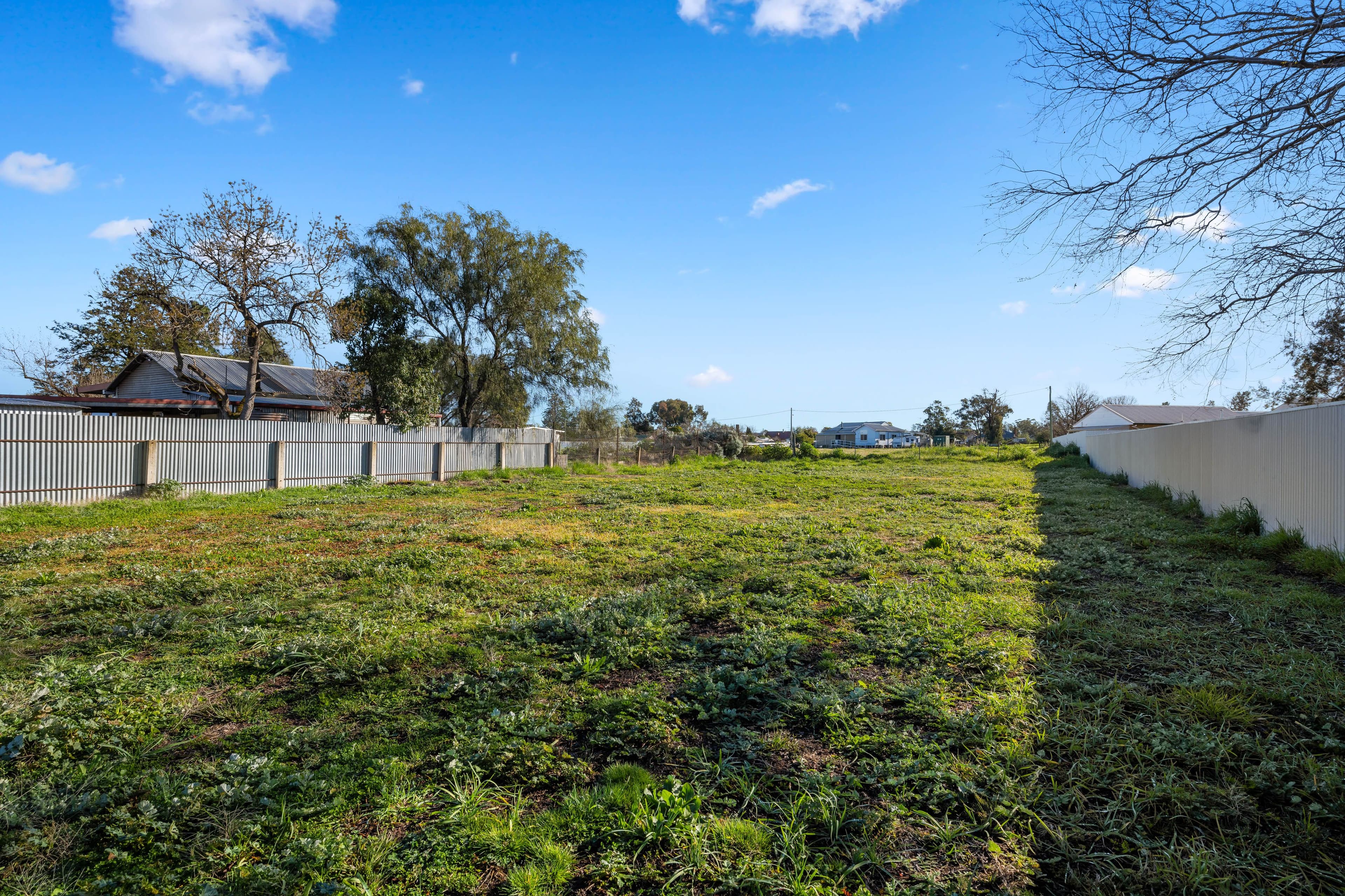 8 Rosler Parade, Henty NSW 2658, Henty - Thumbnail 4