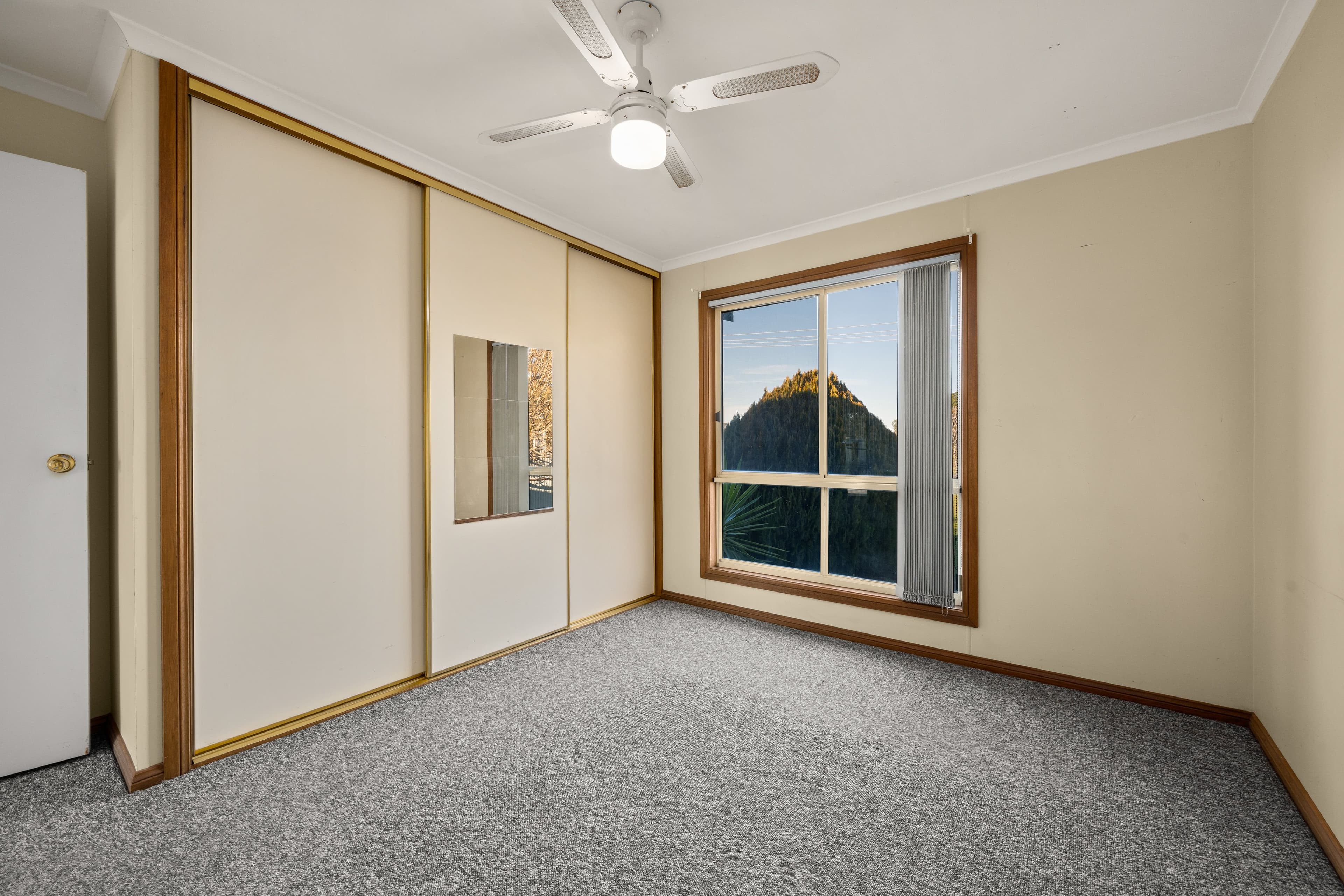 8 Rosler Parade, Henty NSW 2658, Henty - Thumbnail 7