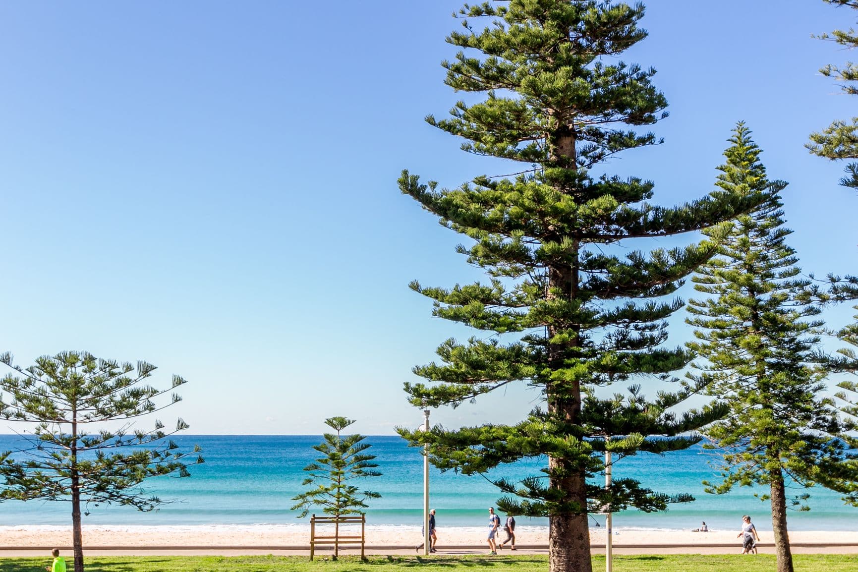 88 North Steyne, Manly NSW 2095, Manly - Thumbnail 4