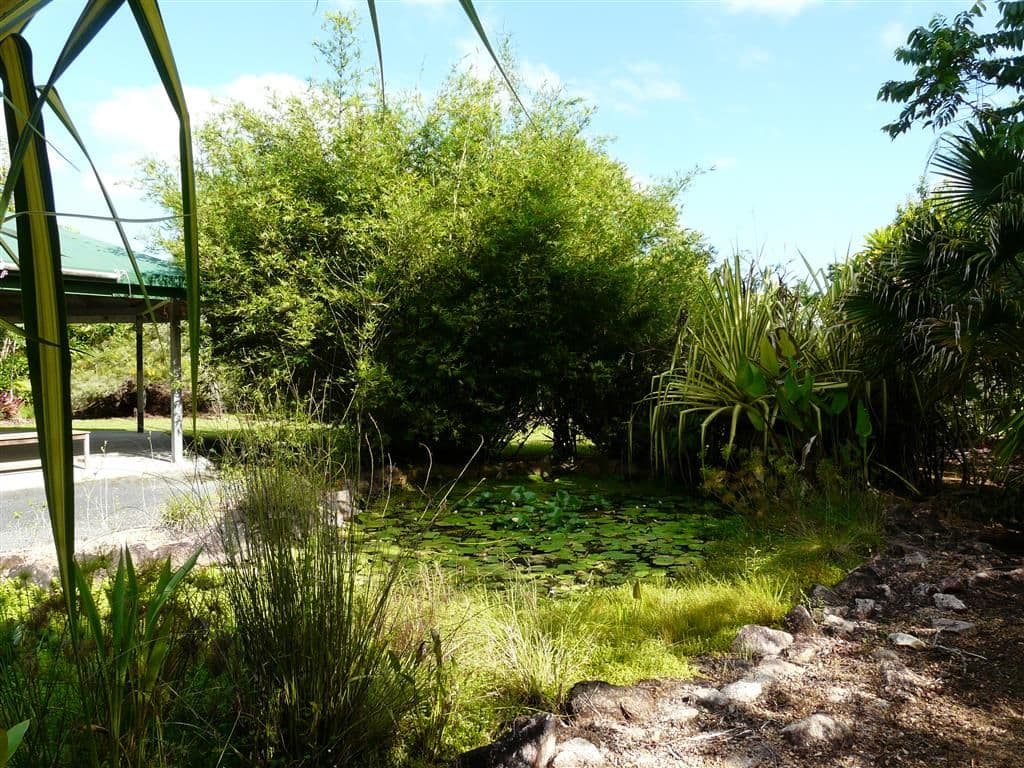 17 Mena Creek Road, Mena Creek QLD 4871, Mena Creek - Image 1