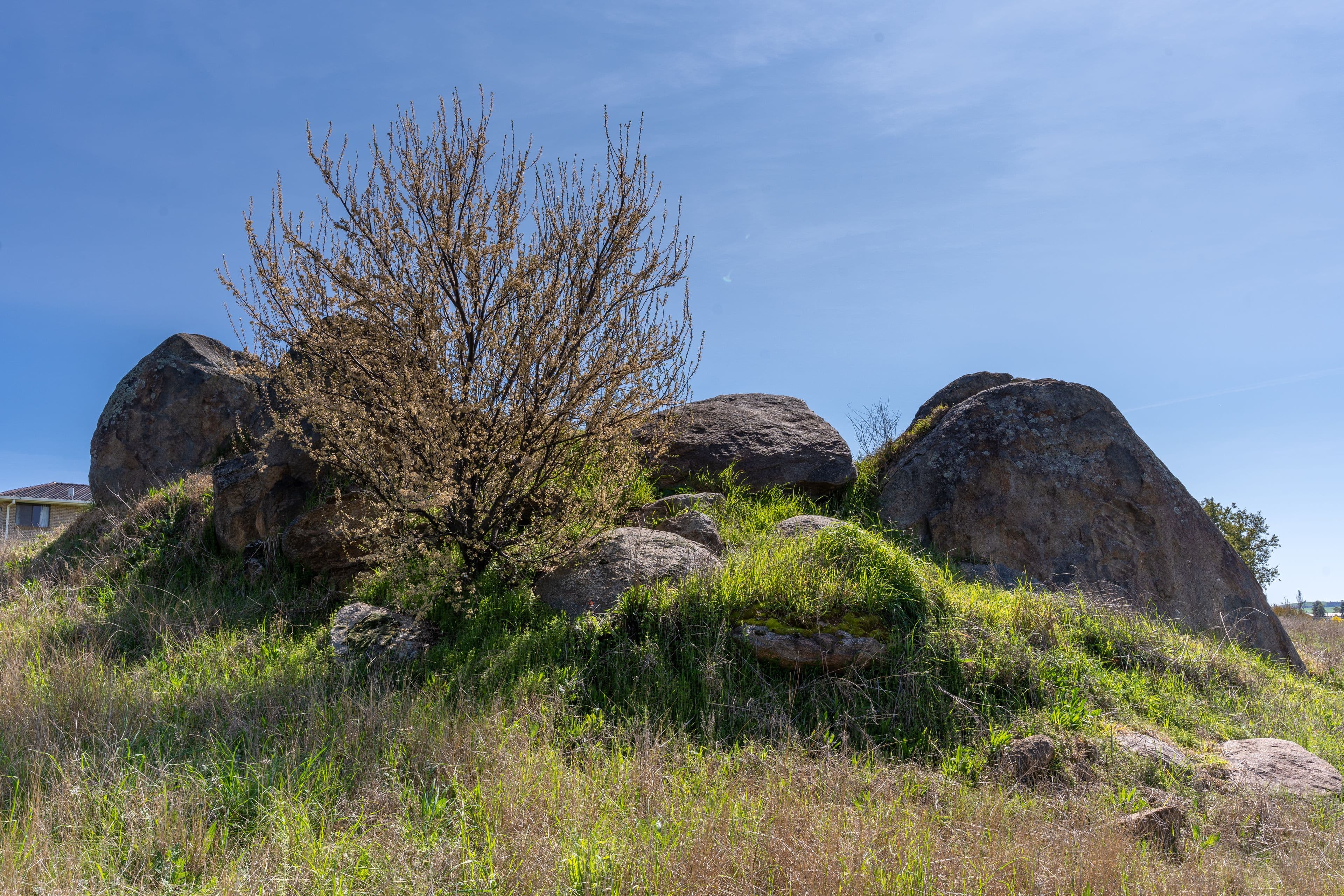 Lot 4 Winton Street, Canowindra NSW 2804, Canowindra - Thumbnail 5