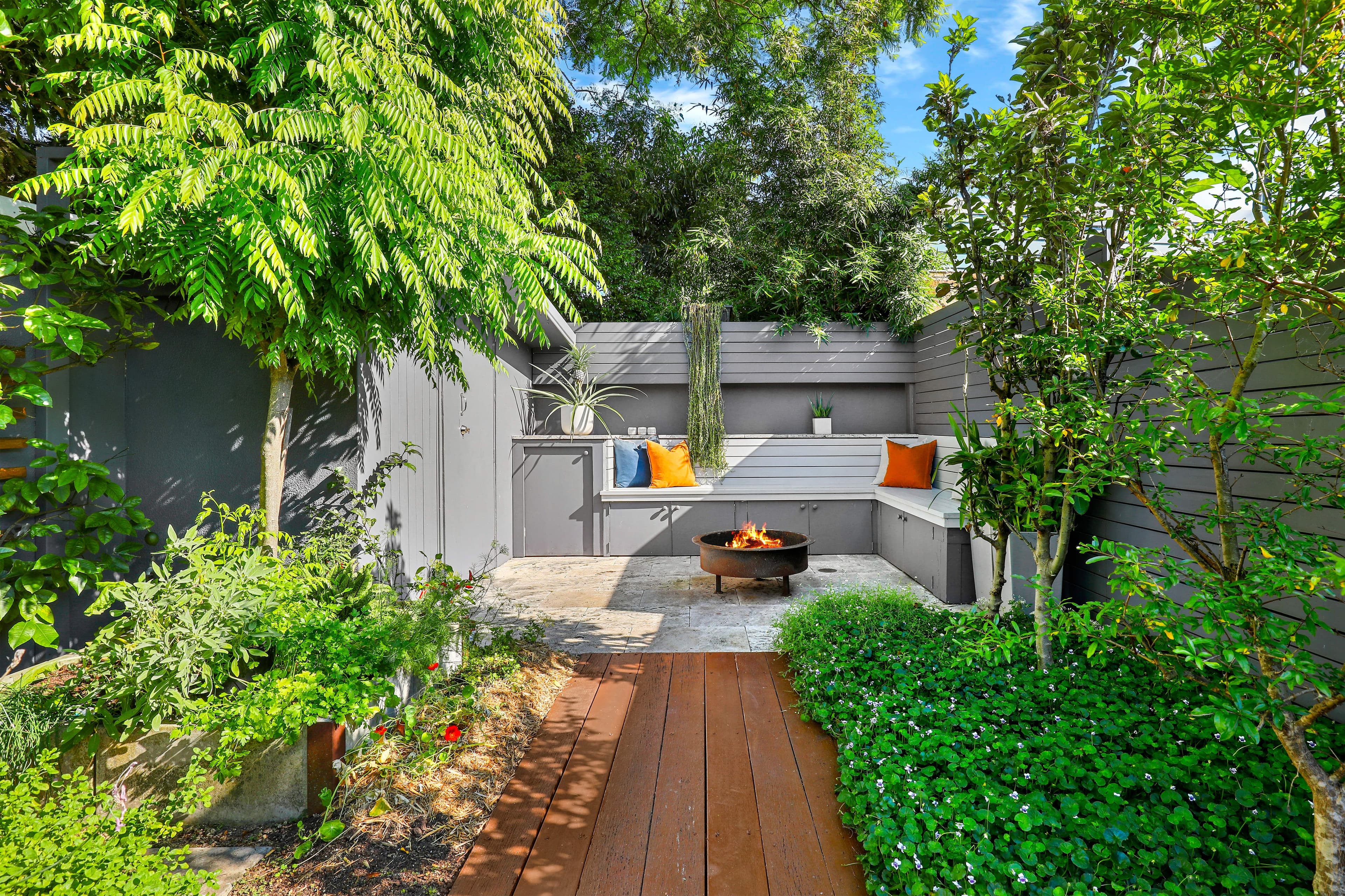 59 Darley Street, Newtown NSW 2042, Newtown - Thumbnail 3