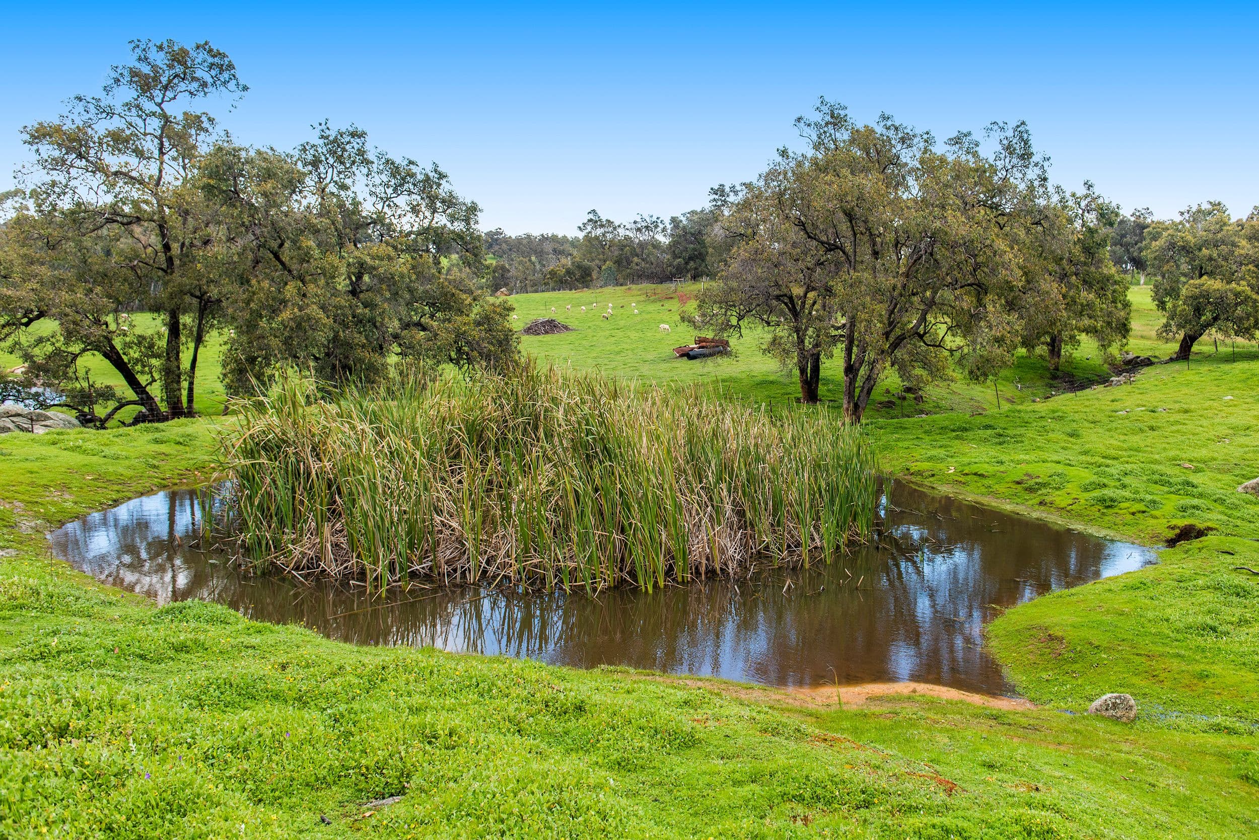 38 Shady Hills View, Bullsbrook WA 6084, Bullsbrook - Thumbnail 3