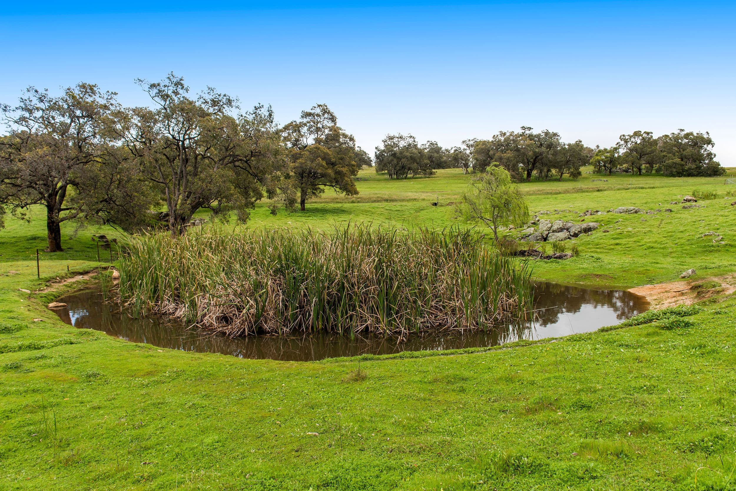 38 Shady Hills View, Bullsbrook WA 6084, Bullsbrook - Thumbnail 4