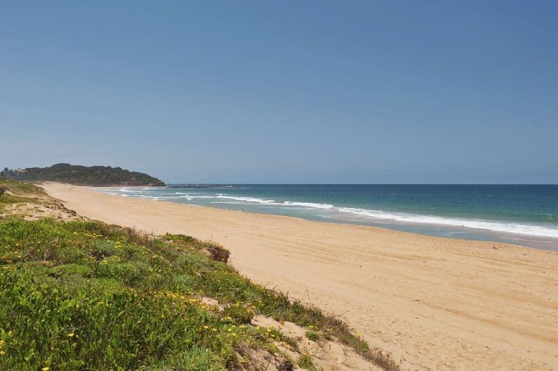 1 Albemarle Street, NARRABEEN NSW 2101, Narrabeen - Thumbnail 4