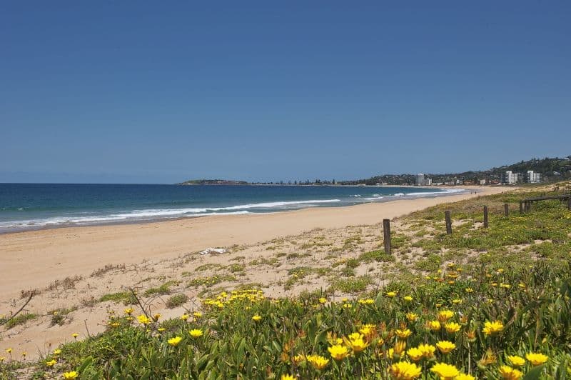 1 Albemarle Street, NARRABEEN NSW 2101, Narrabeen - Thumbnail 8