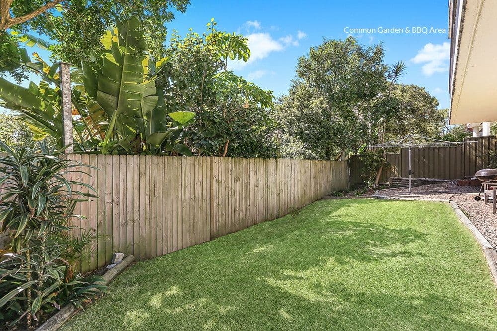 41 Francis Street, Bondi Beach NSW 2026, Bondi Beach - Thumbnail 7