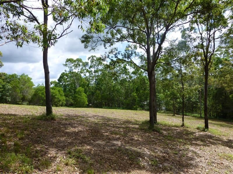 4 Pearce Drive, MAROOCHY RIVER QLD 4561, Maroochy River - Thumbnail 2