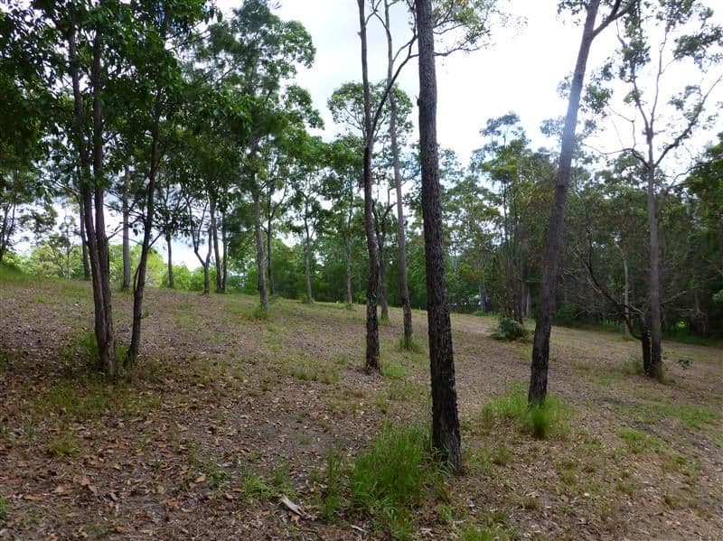 4 Pearce Drive, MAROOCHY RIVER QLD 4561, Maroochy River - Thumbnail 4