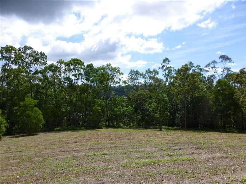 4 Pearce Drive, MAROOCHY RIVER QLD 4561, Maroochy River - Thumbnail 5