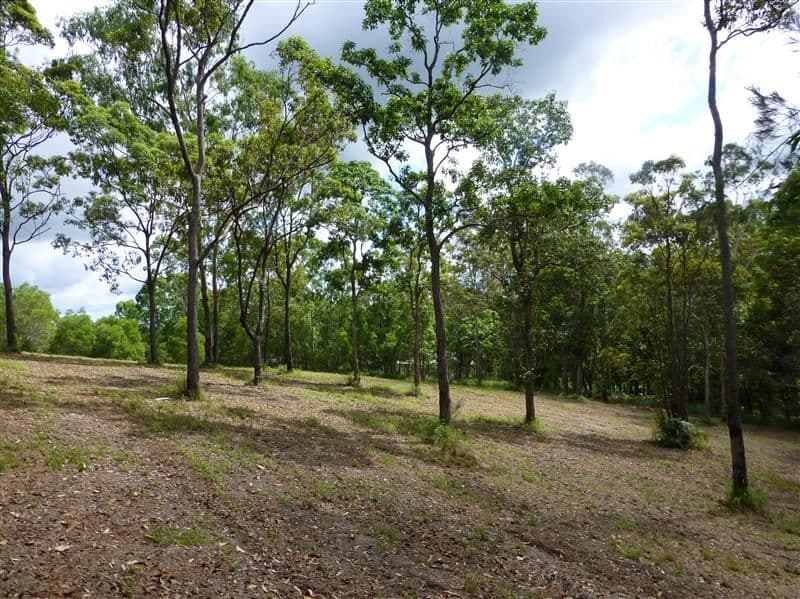 4 Pearce Drive, MAROOCHY RIVER QLD 4561, Maroochy River - Thumbnail 7