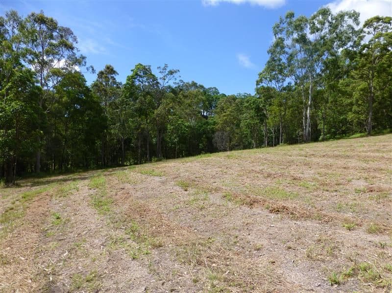 4 Pearce Drive, MAROOCHY RIVER QLD 4561, Maroochy River - Thumbnail 8