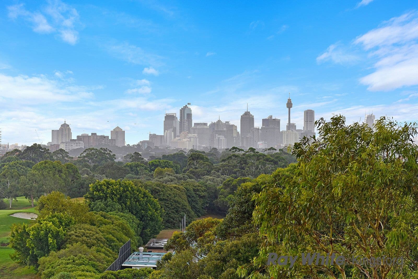20 Boronia Street, Kensington NSW 2033, Kensington - Image 1