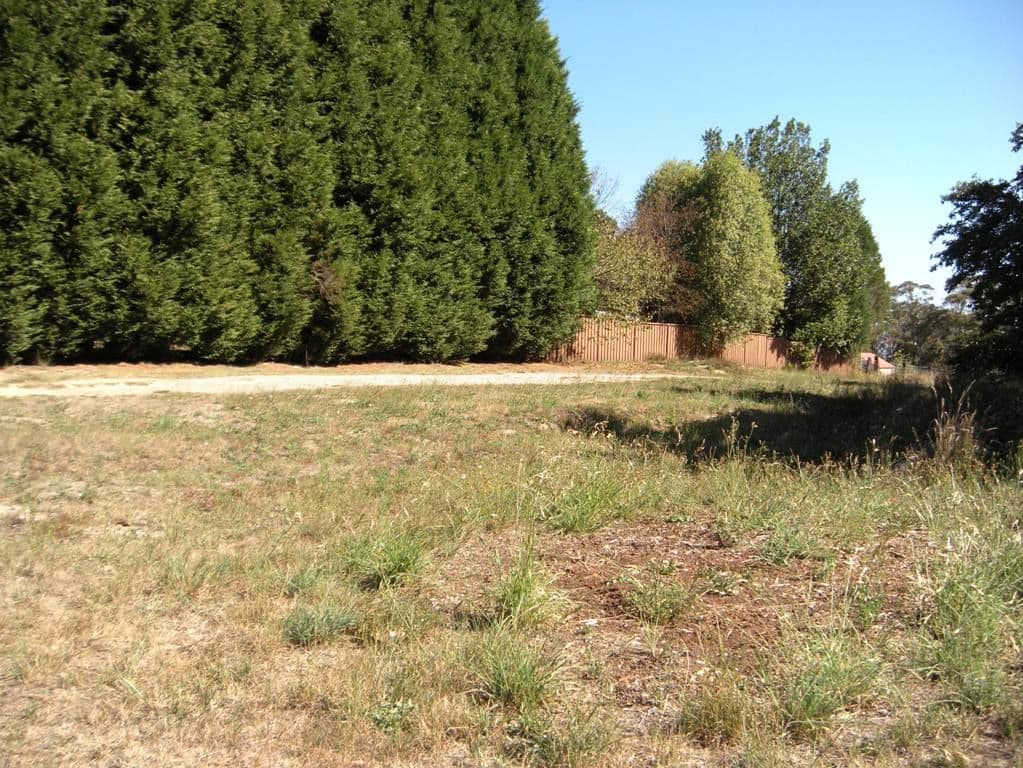 59 (Lot b) Great Western Highway, MOUNT VICTORIA NSW 2786, Mount Victoria - Thumbnail 3