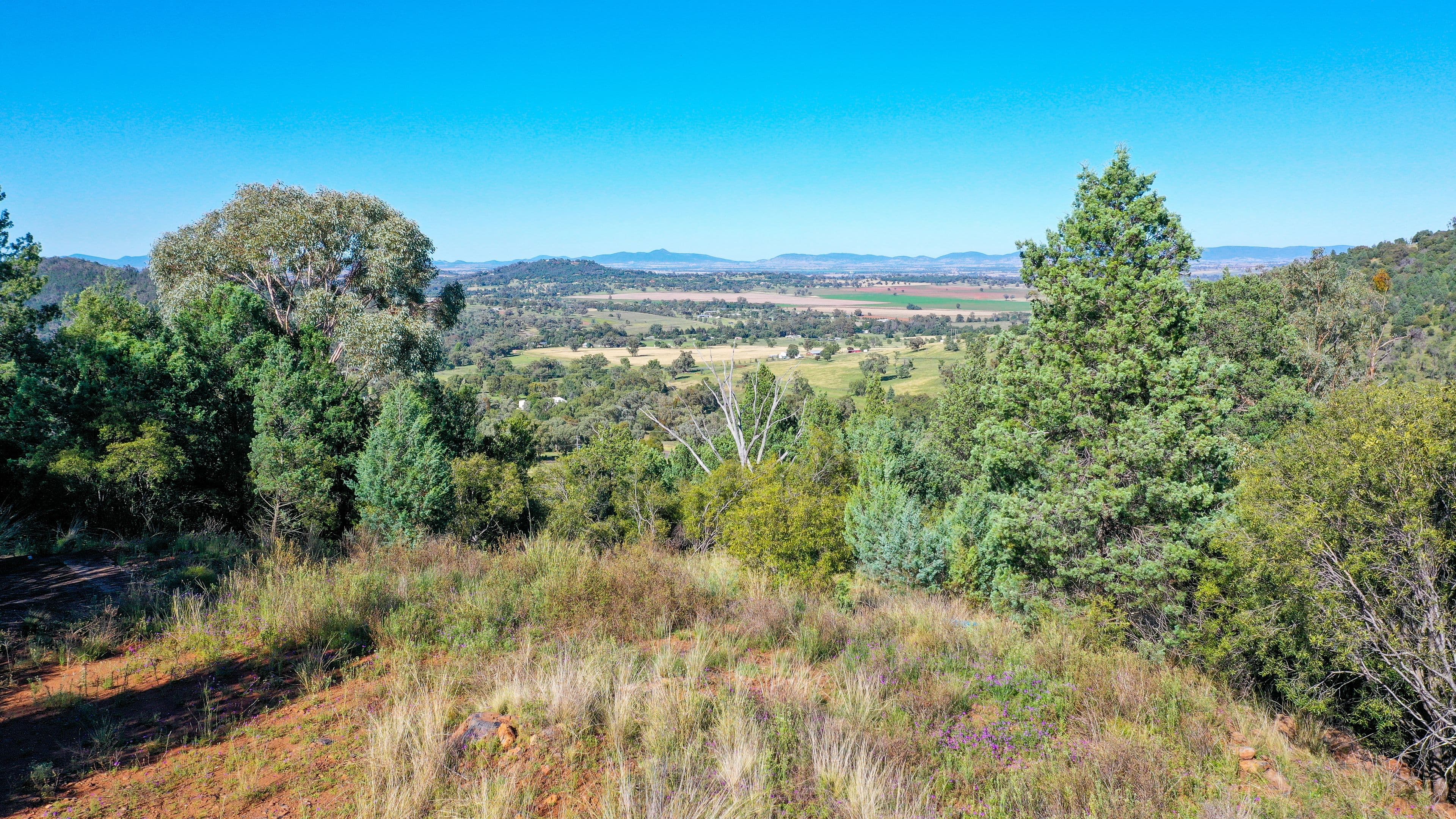 12 Jodie Court, Tamworth NSW 2340, Tamworth - Image 1