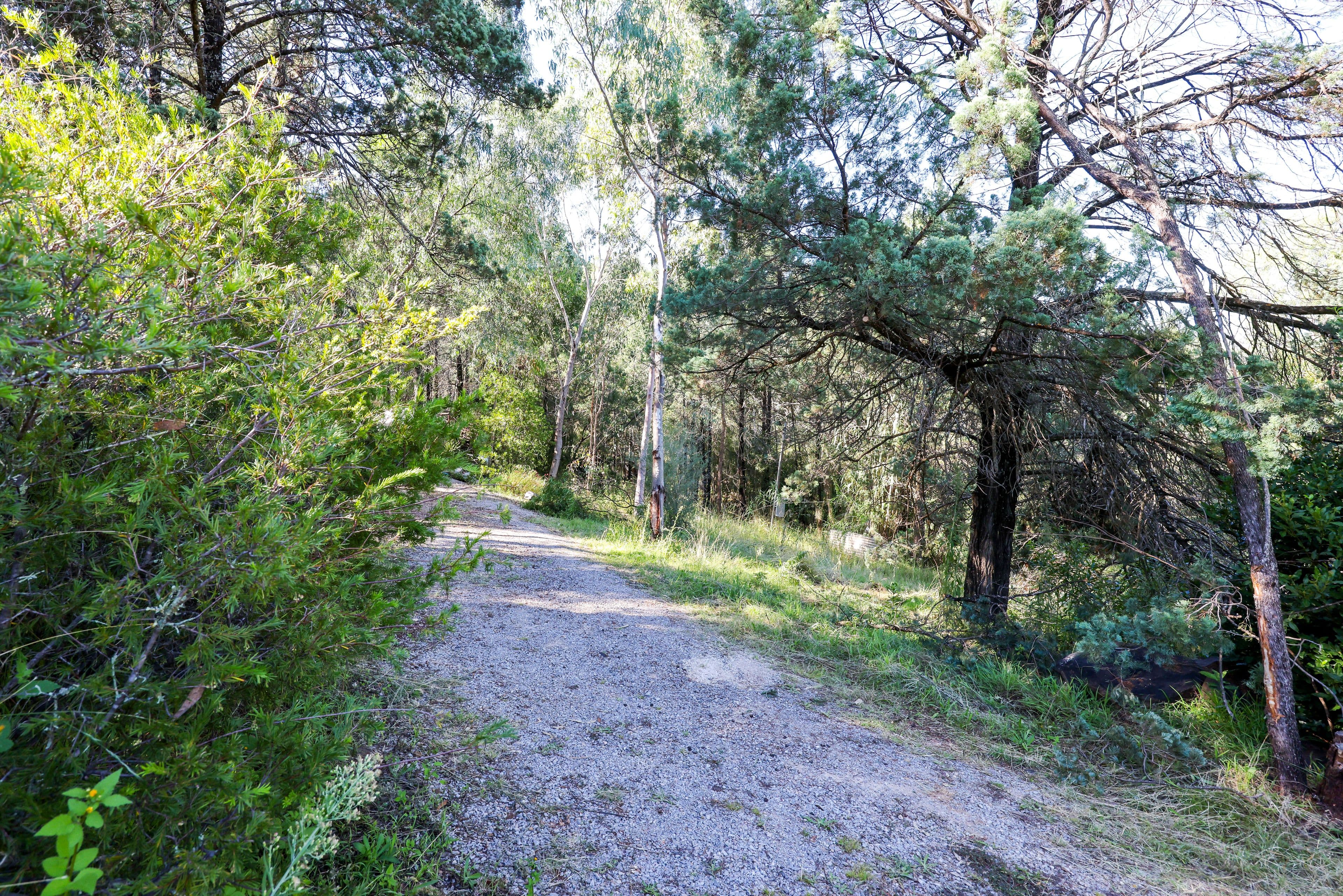 12 Jodie Court, Tamworth NSW 2340, Tamworth - Thumbnail 7