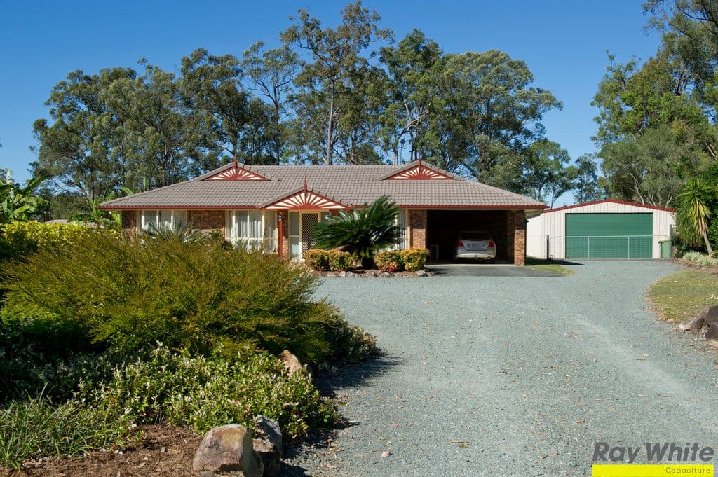 137- 139 Smiths Road, Elimbah QLD 4516, Elimbah - Image 1
