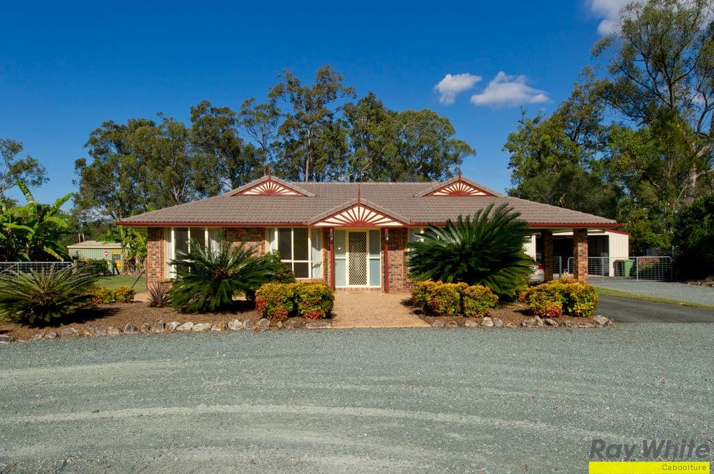 137- 139 Smiths Road, Elimbah QLD 4516, Elimbah - Thumbnail 5