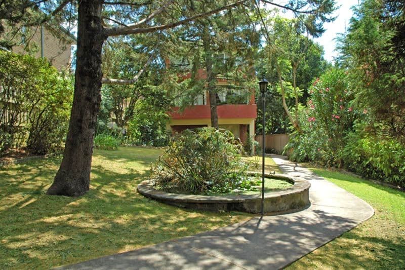 11 Hampden Road, ARTARMON NSW 2064, Artarmon - Thumbnail 5