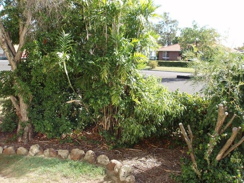 36  Geraghty Street, CECIL PLAINS QLD 4407, Cecil Plains - Thumbnail 3