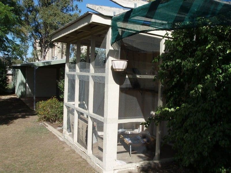 36  Geraghty Street, CECIL PLAINS QLD 4407, Cecil Plains - Thumbnail 4