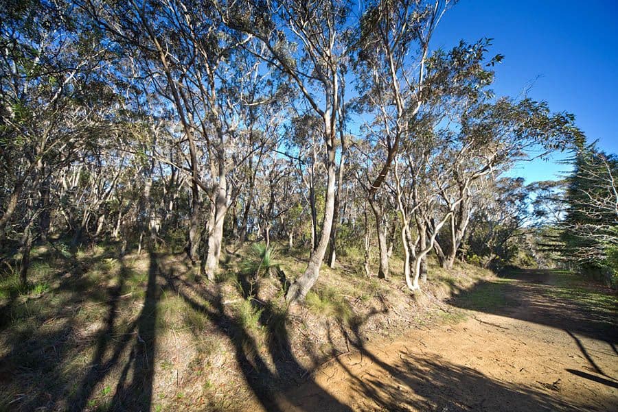 54-56 Shipley Road, BLACKHEATH NSW 2785, Blackheath - Thumbnail 2