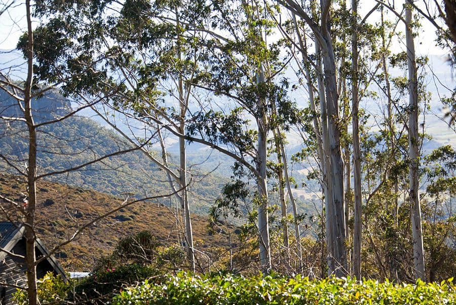 54-56 Shipley Road, BLACKHEATH NSW 2785, Blackheath - Thumbnail 3