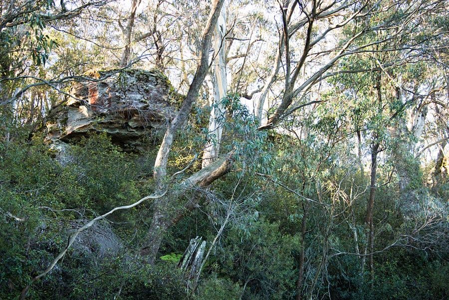 54-56 Shipley Road, BLACKHEATH NSW 2785, Blackheath - Thumbnail 4