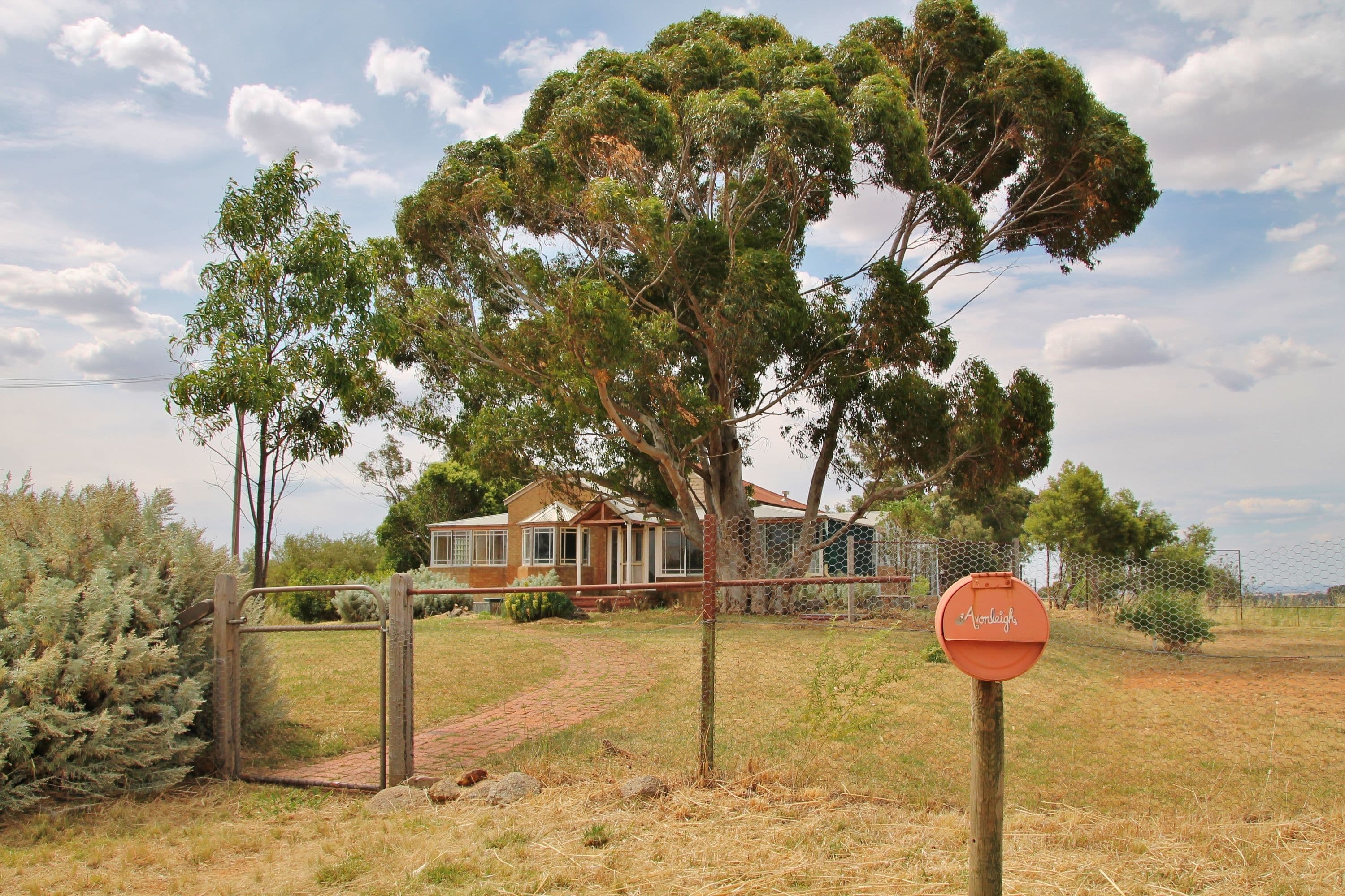 96 Campbells Road Maimuru Via, Young NSW 2594, Young - Image 1