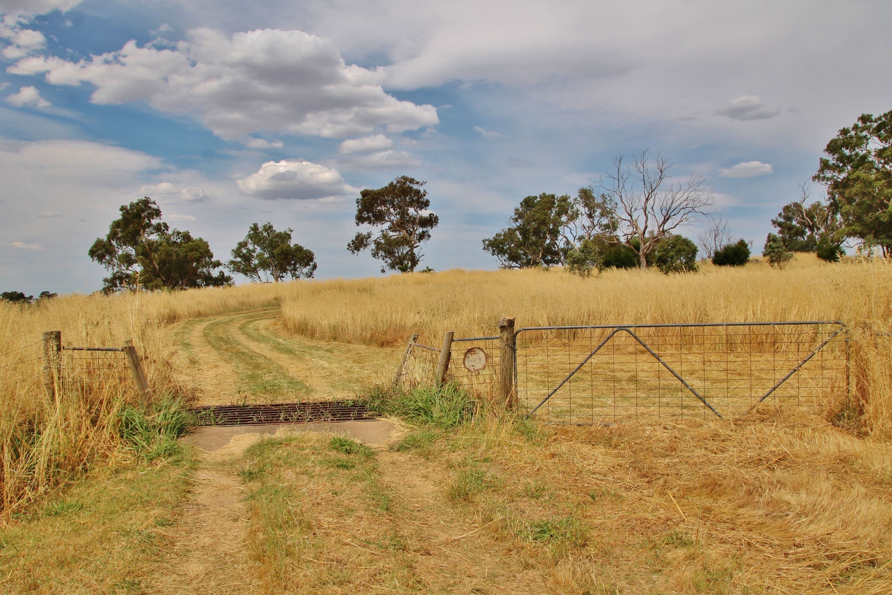 96 Campbells Road Maimuru Via, Young NSW 2594, Young - Thumbnail 2