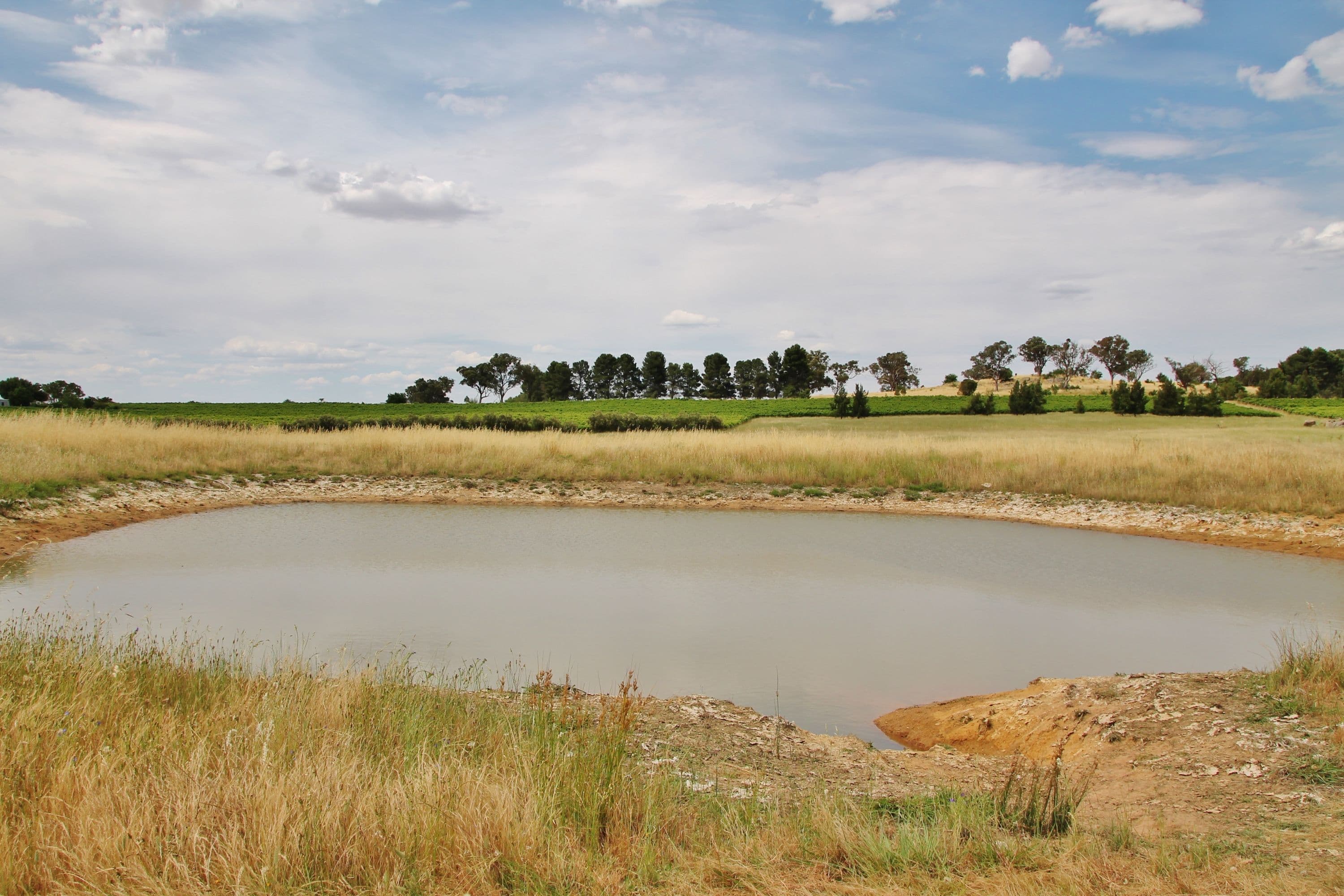 96 Campbells Road Maimuru Via, Young NSW 2594, Young - Thumbnail 3