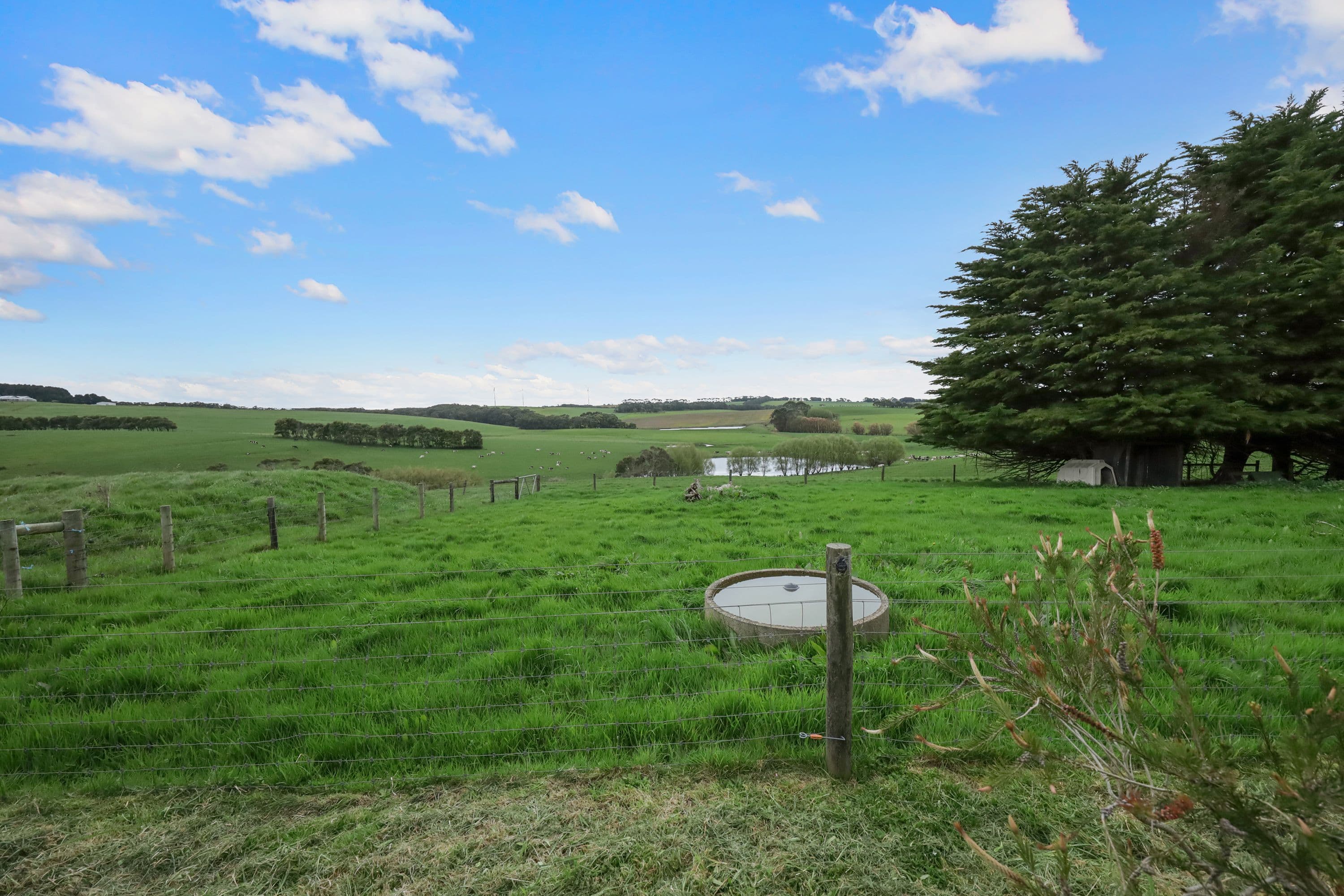 1190 princetown Road, Cooriemungle VIC 3268, Cooriemungle - Thumbnail 6