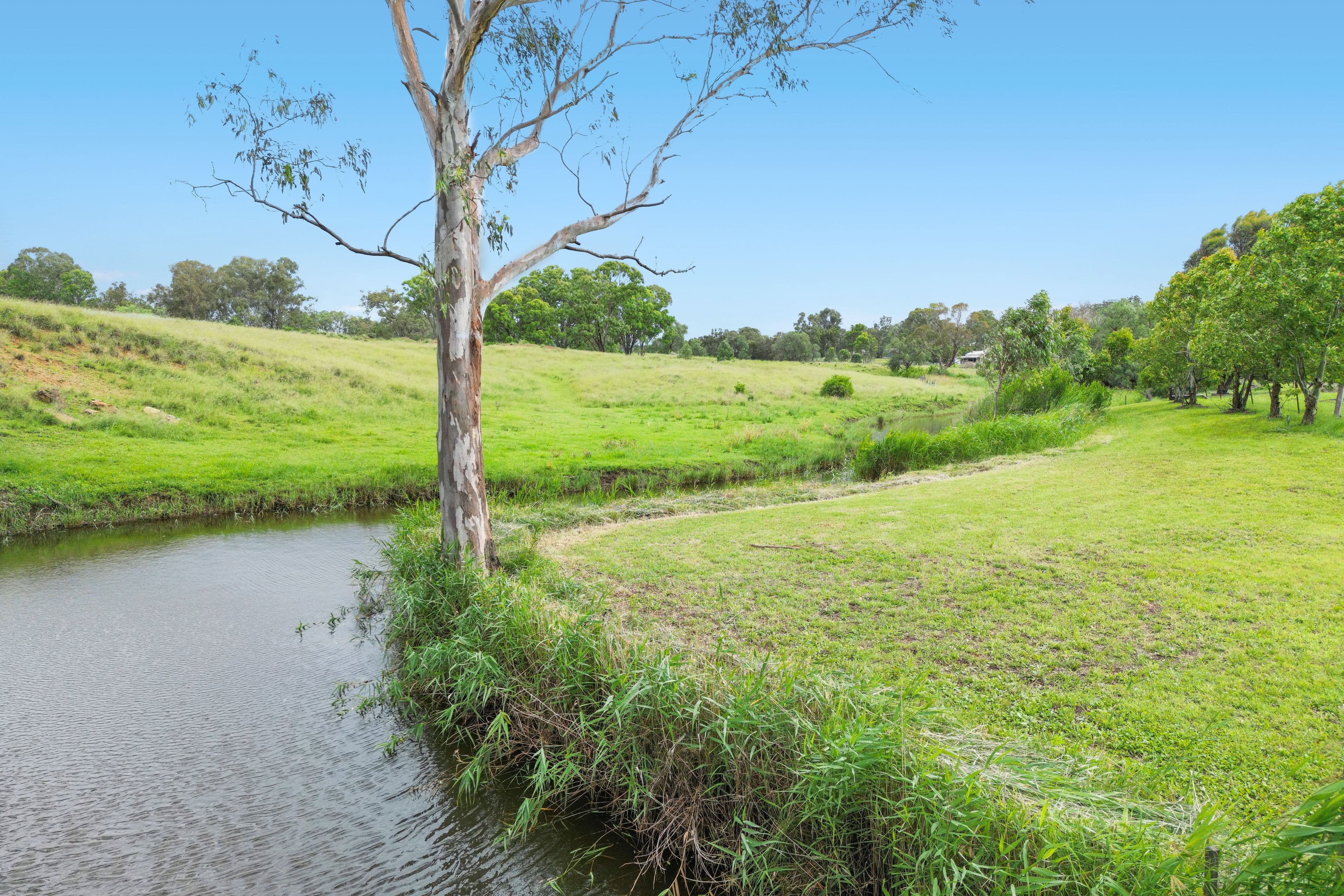 178 Willis Road, Meringandan West QLD 4352, Meringandan West - Thumbnail 4