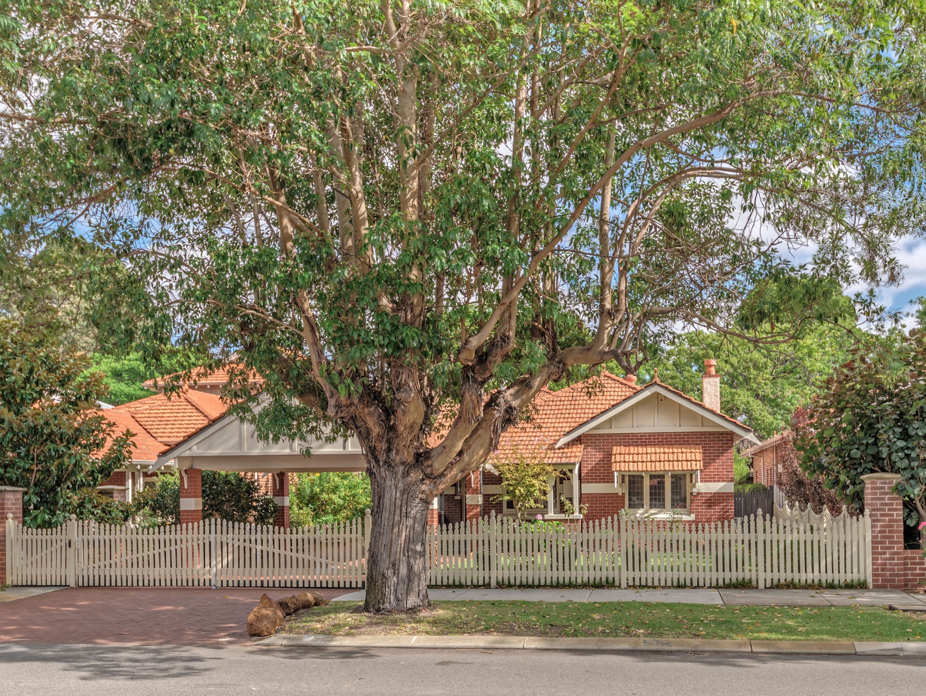 47 North Street, Mount Lawley WA 6050, Mount Lawley - Image 1