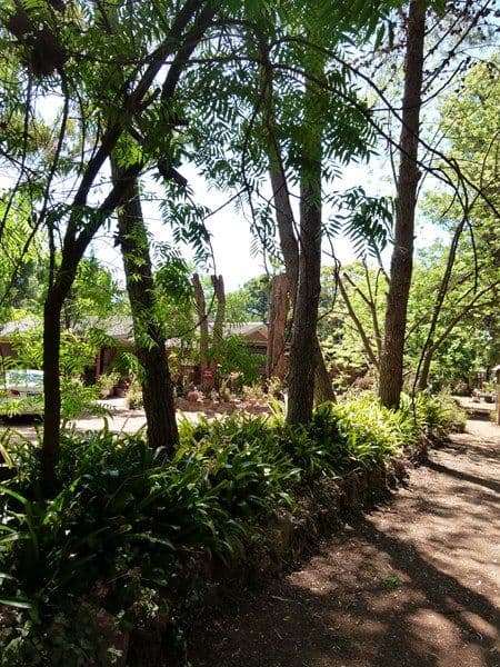 235-237 Edward Street, FORBES NSW 2871, Forbes - Thumbnail 2